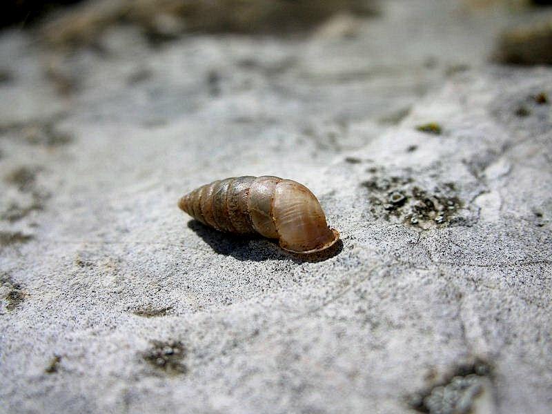 da determinare...Lago d''Idro (BS)